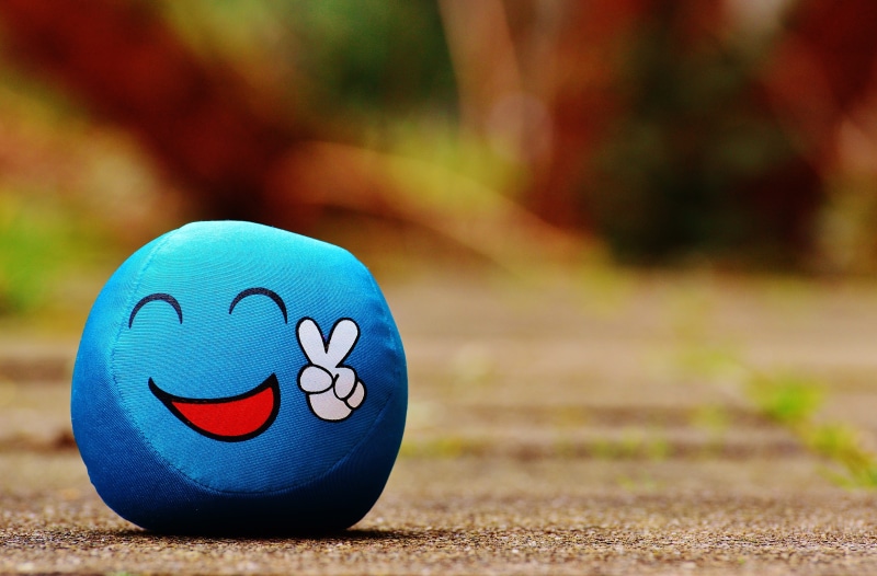 wood - material, fabric, fun, sport, emoji, funny, themselves, absence, nature, emotion, close-up, day, single object, art and craft, land, pillow, grass