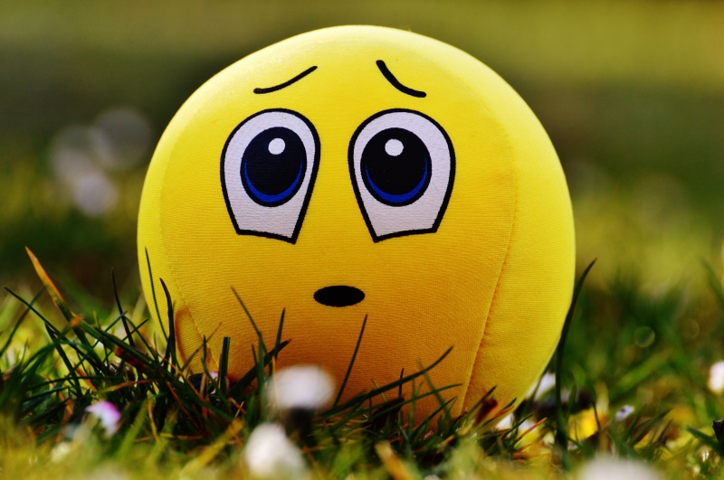celebration, emoji, no people, nature, animal, fun, toy, 5K, sport, cute, sorry, smiley, meadow, excuse me, green color, grass, face, friendly, plant