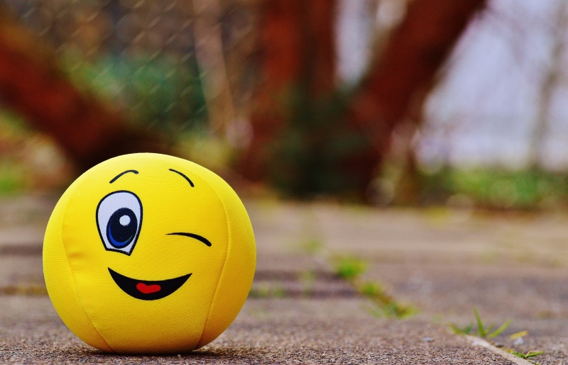 plush, face, wink, surface level, happiness, emotion, autumn, focus on foreground, sport, single object, ground, outdoors, smiling, anthropomorphic smiley face
