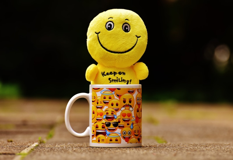 close-up, joy of life, color, happy, creativity, animal, yellow, smilies, all, cheeky, 5K, humor, funny, animal representation, fun, smiley, anthropomorphic smiley face