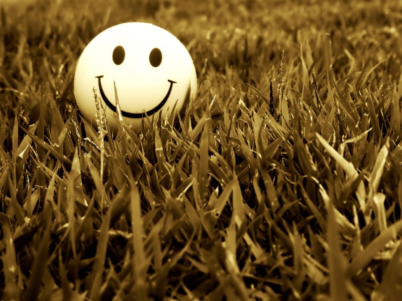happiness, smiling, emoji, art and craft, no People, representation, human representation, plant, springtime, single object, animal Egg, nature, anthropomorphic smiley face