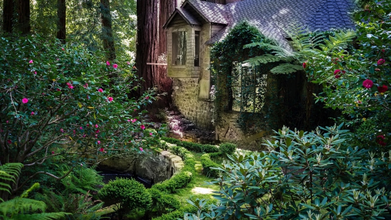 amazing, cabin, 4K, tree, cottage, forest, garden, lifestyle, house