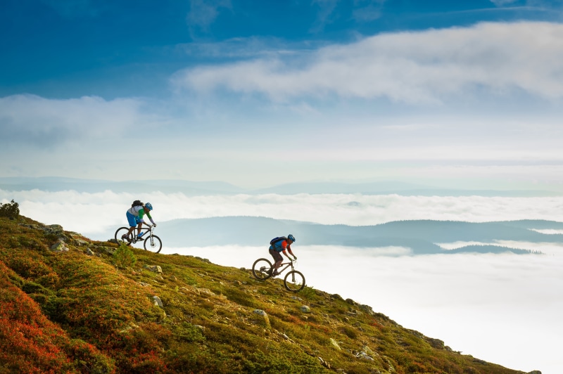 mountain Biking, Trysil, activity, two, healthy Lifestyle, cycling, outdoors, men, recreational Pursuit, summer, time, people, sommer, adventure, bikers