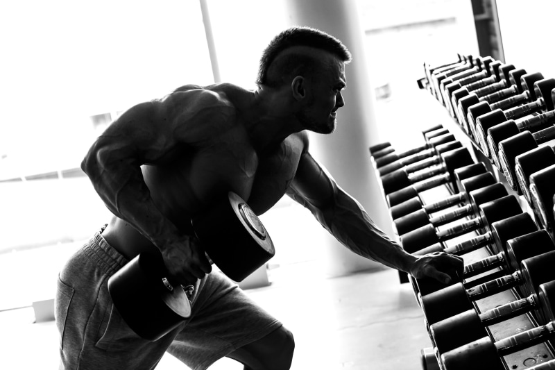 sports training, wellbeing, healthy lifestyle, dumbbell, fixed, body conscious, indoors, body building, human muscle, lifestyles, men, weight, shirtless