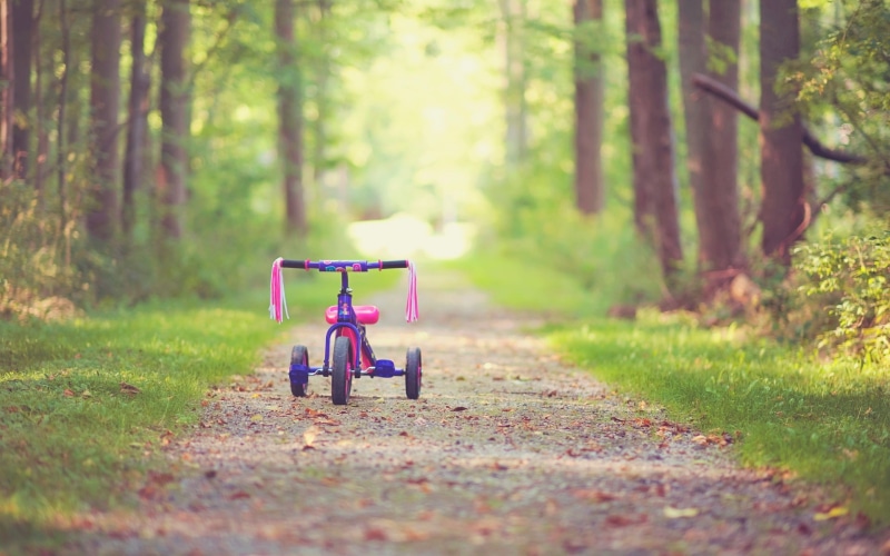  pink, mood, full screen, footpath, widescreen, bicycle, track autumn, trees, path, bike, childhood, HD, tree, fullscreen, children