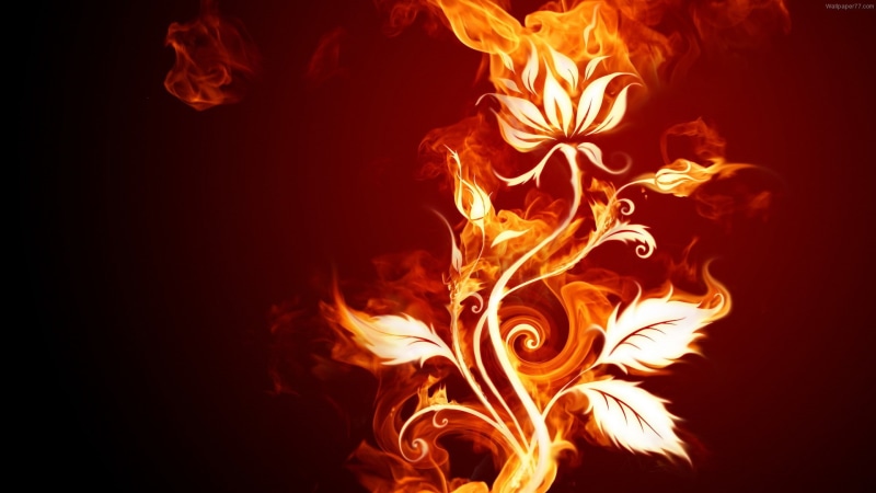 danger, space, design, flammable, effect, flame, yellow, burn, art, texture, bonfire, abstract, heat, curve, hot, pattern, inferno, blaze, hell