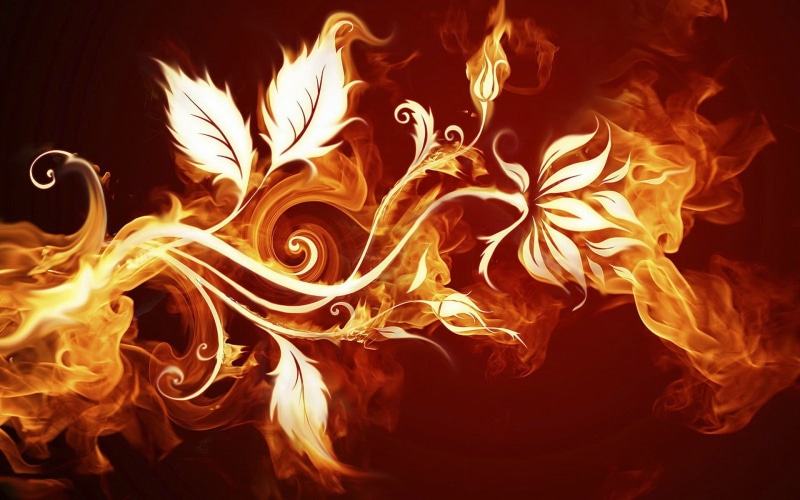 campfire, leaves, burnt, fire, danger, flower, glowing, studio shot, yellow, heat - Temperature, abstract, 1080P, flame, swirl, night, backgrounds, igniting