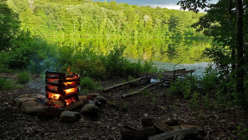 heat - temperature, bonfire, land, fire - natural phenomenon, wooden, firewood, day, green color, campfire, no people, forest, environment, lake, log, 1080P