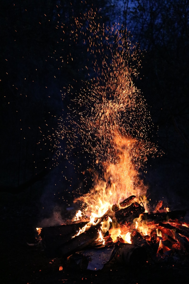 night, fever, spark, forest, environment, fire - Natural Phenomenon, land, flame, fire, heat - Temperature, no people, high angle view, motion, firewood