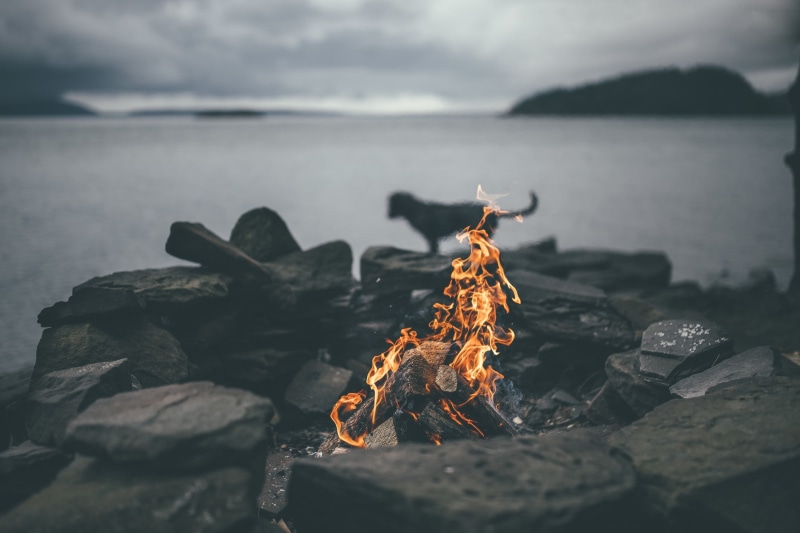 tranquil scene, bonfires, heat - temperature, wood, land, fire, scenics - nature, fire - natural phenomenon, beach, dog, 1080P, sea, water, rock - object