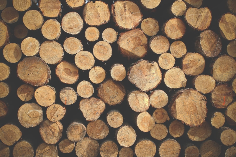 forest, large group of objects, environmental issues, Wood, pattern, wood - Material, lumber Industry, tree, outdoors, stack, log, no people, 4K, circle