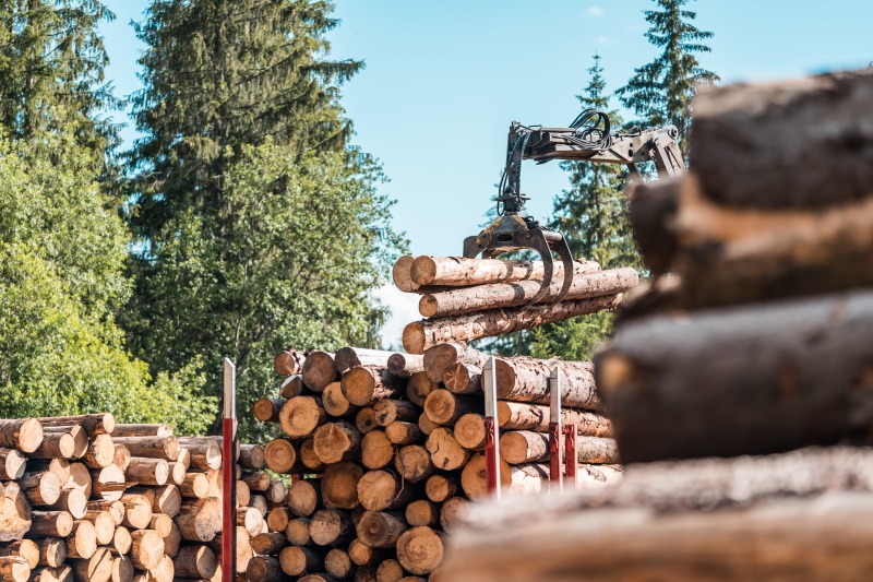 Logging, wood, tree, Timber Truck, deforestation, tree felling, heap, woodcraft, craft, abundance, Forestry, large group of objects, tree Trunk, stack