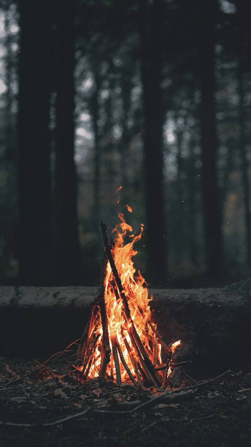 nature, leaves, branch, forest, depth of field, campfire, portrait display, fire, trees, landscape, wood, 1080P, burning, dark