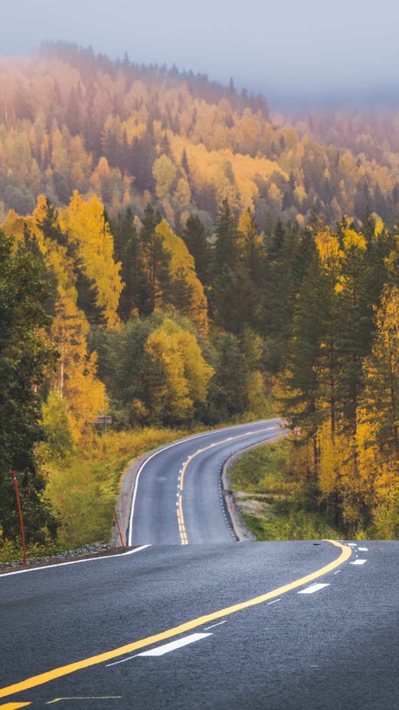 country road, marking, road, direction, outdoors, autumn, sign, depth of field, black, change, land, the way forward, transportation, beauty in nature
