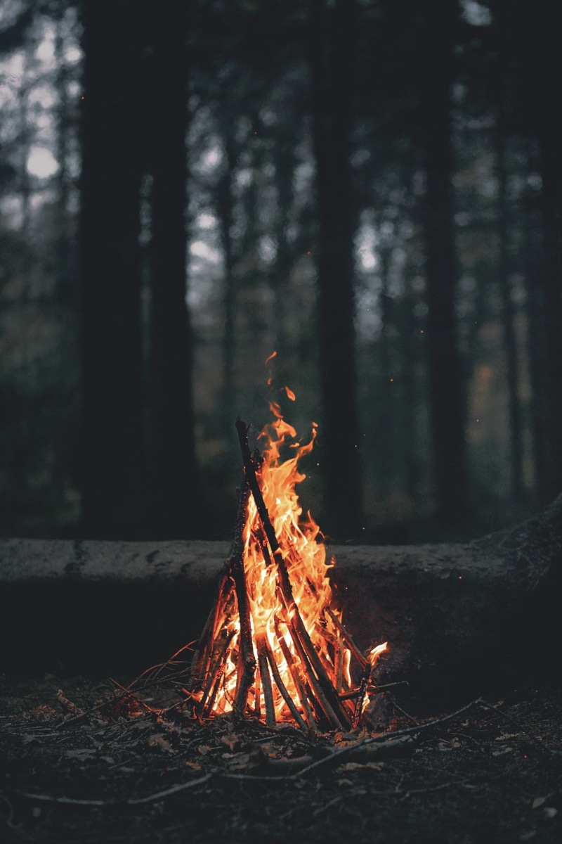 trees, portrait display, branch, leaves, 1080P, nature, wood, fire, dark, forest, evening, bonfires