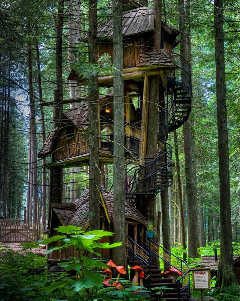 leaves, trees, tree trunk, treehouse, cabin, portrait display, wood, forest, 720P, staircase, nature, mushroom