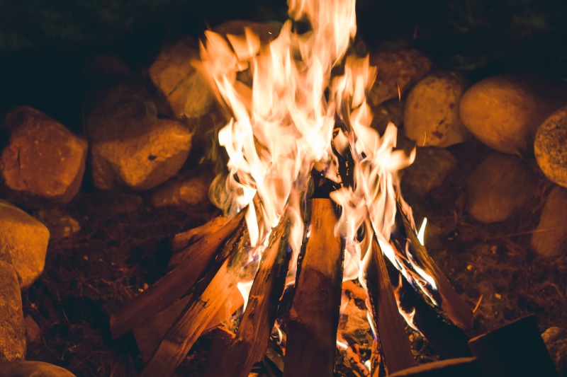 5K, tree, burrito, hearth, time, plant, close-up, food, firepit, flame, fire pit, pollen, outdoors, wood - material, promontory, burning, symbol, night