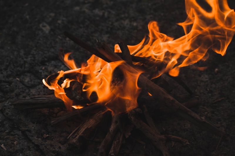 flame, orange color, insect, woven, food, campfire, nature, bonfire, motion, wood, indoors, glowing, glass, goblet, wood - material, fireplace, firewood