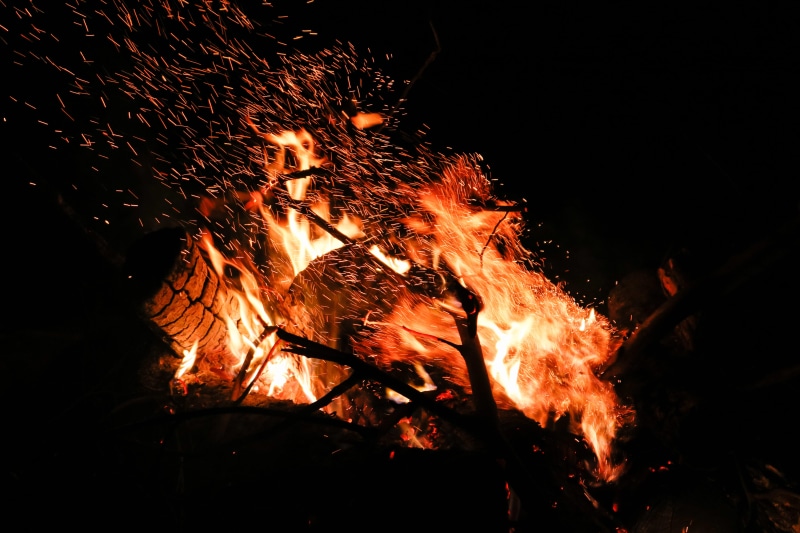 campfire, night, camping, fire, no people, burning, motion, pet, bonfire, nature, terrier, glowing, log, hot, firing, orange color, flame, close-up, woods