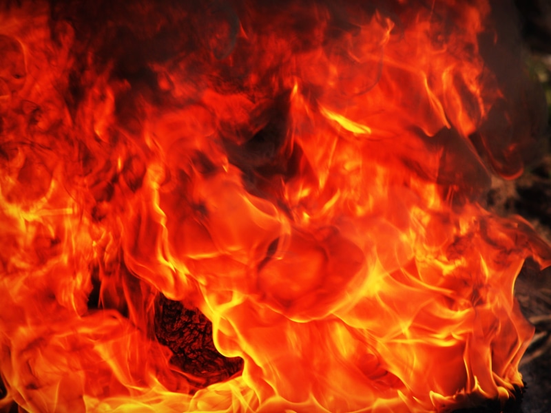 inferno, wild, close-up, blazing, heat, nature, gasoline, beautiful, fire, flammable, wildfire, ash, ignite, campfire, fiery, smoke, gas, burn, tongue
