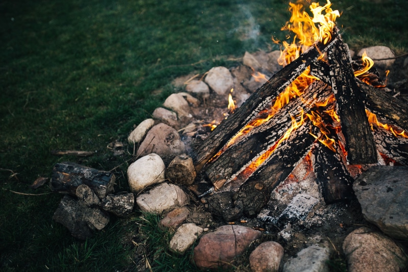2K, bonfire, smoke, vacations, no people, woods, tree, outside, Campfire, log, camping, heat - Temperature, fire - Natural Phenomenon, plant, wood, day