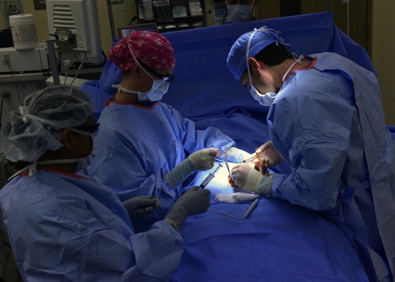 surgeon, cooperation, adult, human, person, gowns, health, surgery, medical Equipment, blue, scrubs, surgical mask, treatment, uniform, professional Occupation