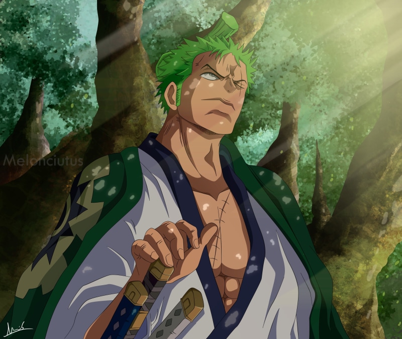2K, Roronoa Zoro, One Piece