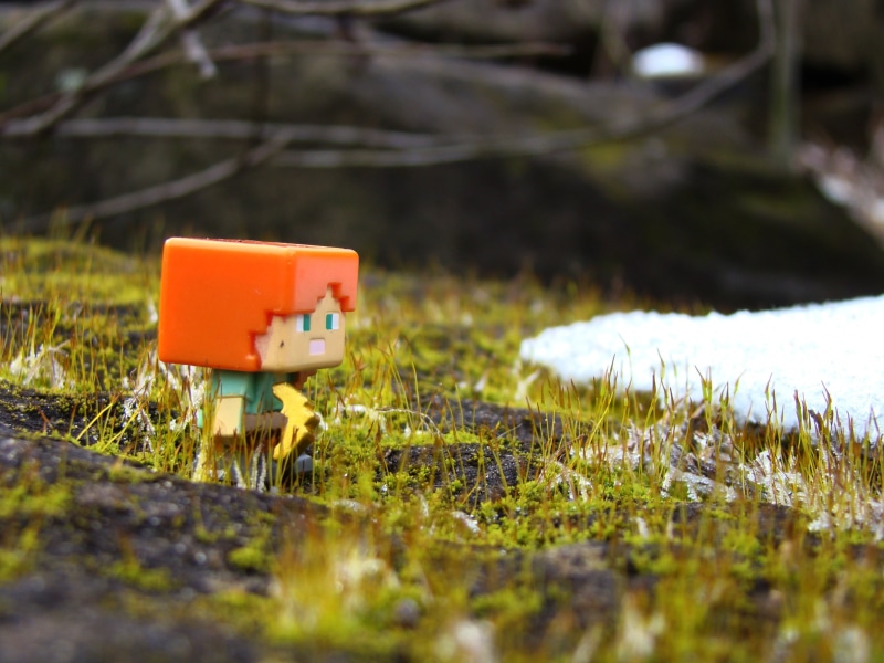next, close-up, nature, toy, plant, alex, land, minecraft, 2K, plastic, green color, water, figure, abandoned, mini, grass, selective focus, real world