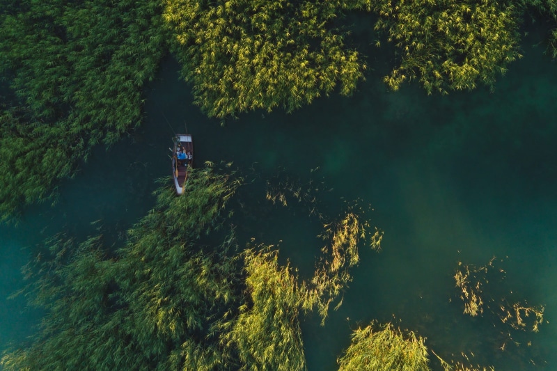 tranquility, aerial view, growth, leisure activity, high angle view, view, one person, lifestyles, daytime, body, water, photography, borwn, body of water