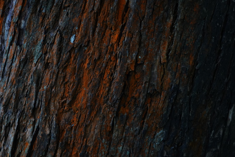 weathered, full frame, no people, wall - building feature, hardwood, photography, desk, outdoors, wood - material, textured effect, nature, textured, brown
