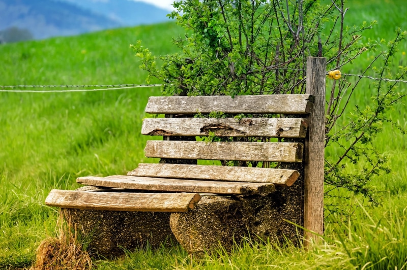 no people, nature, landscape, wooden, agriculture, mountain, lapsed, outdoors, wood - Material, grass, environment, park bench, bench, tree, green Color