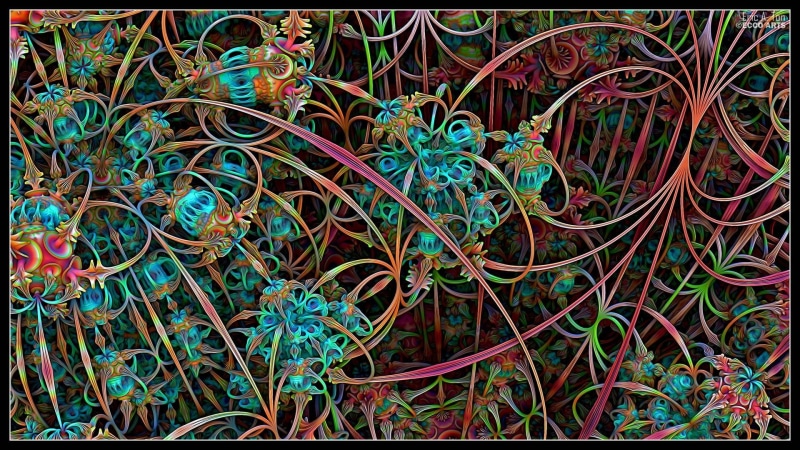 indoors, backgrounds, tangled, floral, connection, growth, high angle view, auto post production filter, no people, abstract, close-up, multi colored, 1080P