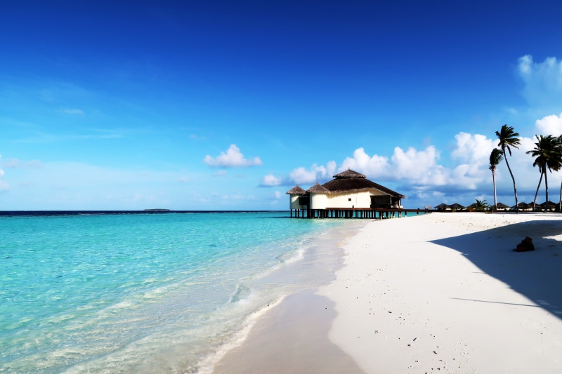 Paradise, scenics, caribbean Sea, building exterior, Relax, turquoise Colored, hut, brown, travel Locations, day, caribbean, hotel, coastline, building