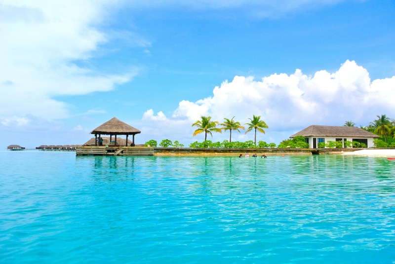 blue, maldives, bungalow, travel, coconut tree, sea, lagoon, scenics - nature, roof, trees, building exterior, luxury, water, hut, built structure, body