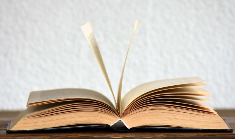text, bookcase, creativity, information, literature, single object, still life, dictionary, data, absence, poetry, browse, focus on foreground, knowledge