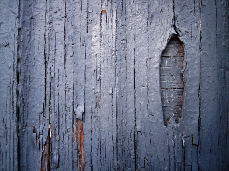 outdoors, board, close-up, wooden surface, 2K, texture, deterioration, planks, architecture, old, textured, wood - material, full frame, nail, gray, backgrounds