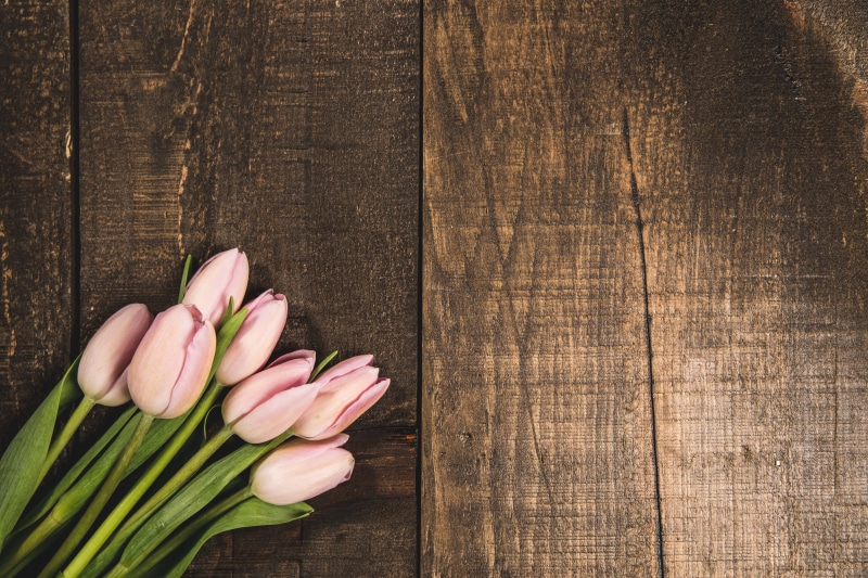 table, copy space, Backgrounds, wood - material, Spring, directly above, no people, texture, still life, Flowers, Textures, Flatlay, flowering plant, 4K
