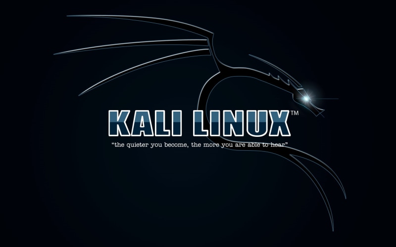 black color, still life, studio shot, message, close-up, indoors, representation, illuminated, single object, capital letter, 1080P, Kali Linux, cut out