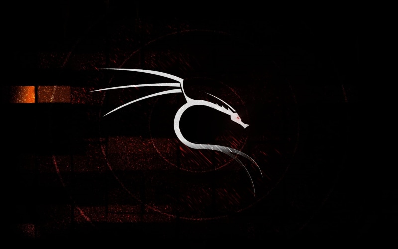 logo, grunge, illuminated, backgrounds, dirty, motion, abstract, coming, copy space, drink, single object, art and craft, dragon, night, black background