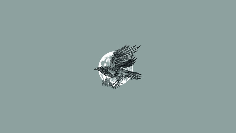 animal wildlife, animal wing, raven, studio shot, Moon, insect, bird, simple background, beauty in nature, vertebrate, flying, dragon, wings, sword, fish