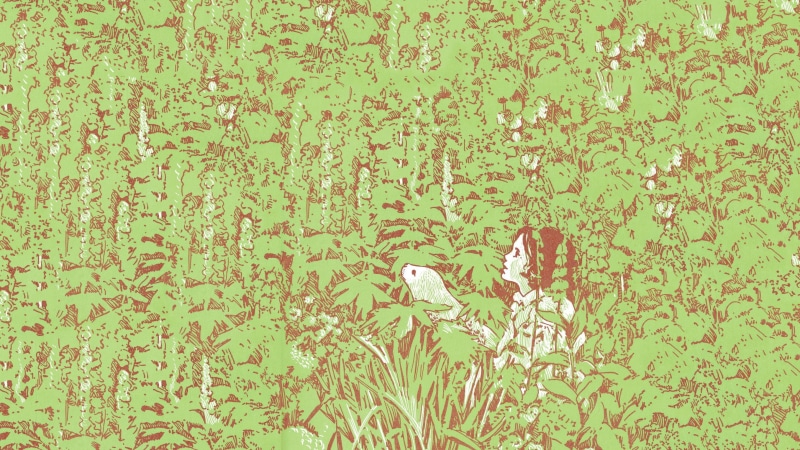 music, leaves, beauty in nature, full frame, animal themes, album covers, nature, growth, animal, pattern, field, 2K, day, backgrounds, grass, flower