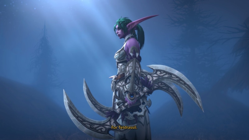 World of Warcraft, PC gaming, elves, Warcraft, elf ears, Tyrande Whisperwind, Night Elves, 1080P