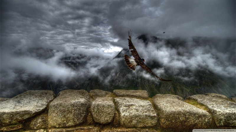 stone ledge, 1080P, flying, animals, eagle, mountains, clouds, bird