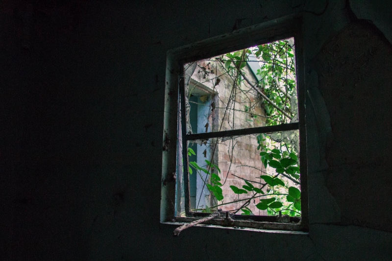 green, urban exploring, window frame, window, scene, bad condition, brick, brown, damaged, architecture, daytime, urbex, obsolete, building, window ledge