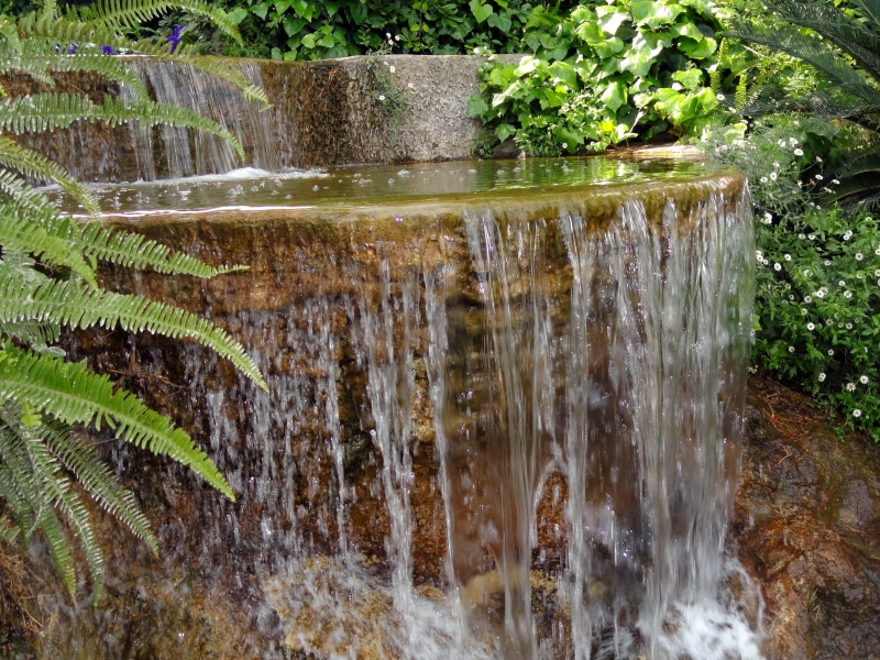 scenics, close-up, falls, drop, no People, liquid, growth, forest, fern, tropical Climate, stone, splashing, lush Foliage, landscape, ledge, spraying, water