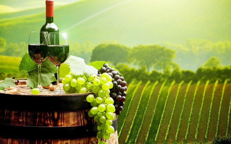 grapes, bottle, wine, corks, glasses, plantations, fields, barrel, 2K, landscape