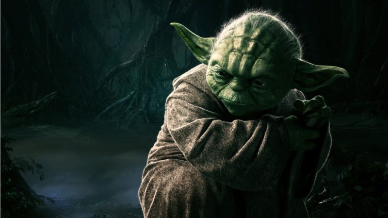 portrait, master, Yoda, waist up, hood, casual clothing, 720P, nature, Star Wars, headshot, looking, clothing, star, hood - clothing, day, one person