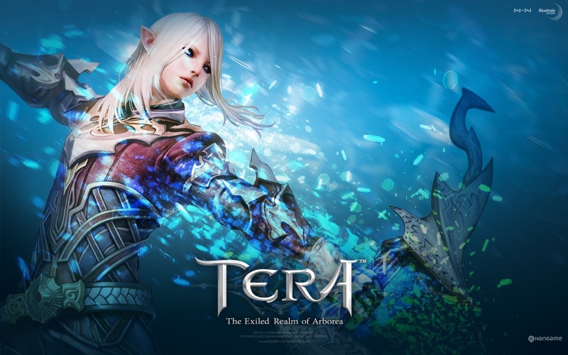 mmorpg, 1080P, tera, elf, archers, high