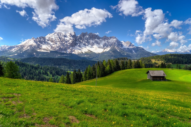 Tyrol, scenics, Catinaccio, meadow, massif, Hiking, green Color, Grassy, Nature, South, mountain, house, HDR, sky, snowy, Italy, Latemar, wildflowers, green grass