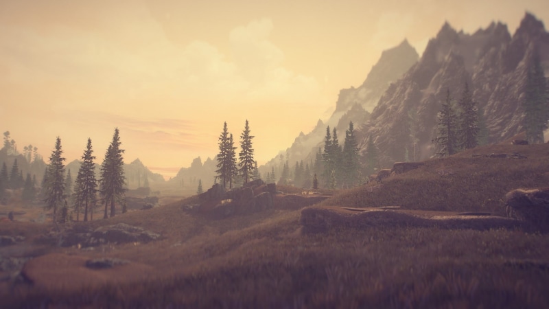 video games, tranquil scene, coniferous tree, idyllic, land, no people, near, non-urban scene, nature, growth, grass, outdoors, plant, beauty in nature